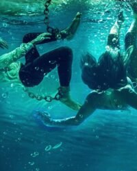 Cá Mập Dưới Nước