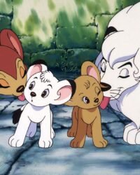 Chú Sư Tử Trắng