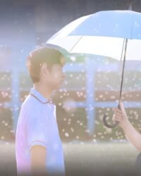 Dự Báo Tình Yêu
